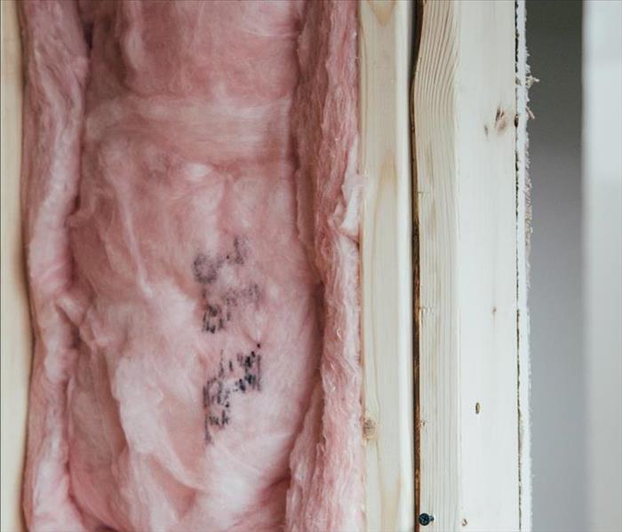 Pink Fiberglass insulation